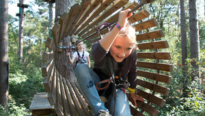 Climbing forest Veluwe